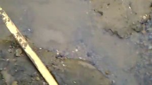 Родник бьет из под земли
