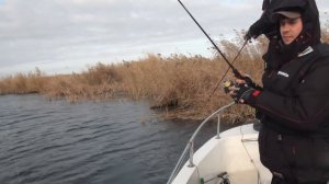 Видео о рыбалке в Астрахани. Щука 5 кг на джерк Salmo