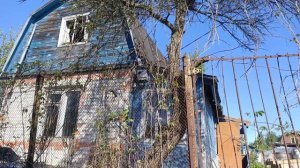 Купил дачу своей мечты как убрать участок спилить ветки деревьев освободить забор от кустарника