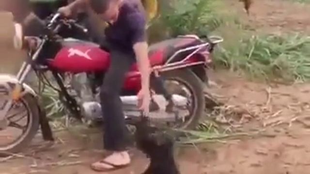Хороший глушитель