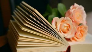 Давно забытые стихи