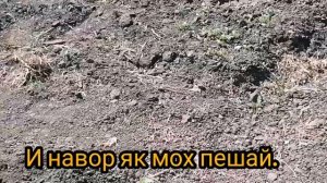 Урааааа??. Влоги нав духтаро.❤️❤️ Очаву духтар як навигари кардем. ??