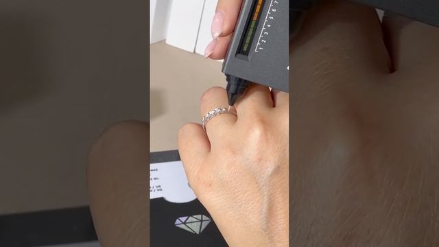 Silver Cat Almaty смотреть онлайн