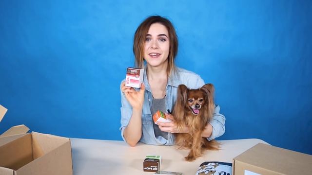 ОБЗОР PETSHOP BOX "АПТЕЧКА" - ЧТО ДОЛЖНО БЫТЬ В АПТЕЧКЕ ДЛЯ СОБАК И КОШЕК? смотреть онлайн