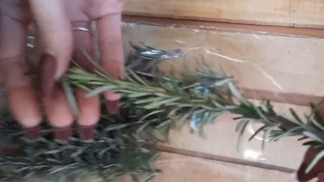 Розмарин смотреть онлайн