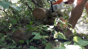 Аккумуляторная пила STIHL штиль MSA 200 C-BQ