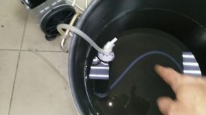 Длительное углевание сырца перед ректификацией.