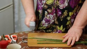 Что делать чтобы розы стояли дольше