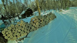 НАГОТОВИЛИ ДРОВ, УТЕПЛИЛИ БУДКИ СОБАКАМ, К МОРОЗАМ ГОТОВЫ.