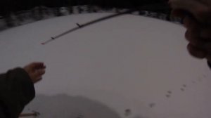 Зимнее блеснение. Окунь на вертикалку. Курская торпедка 36мм.