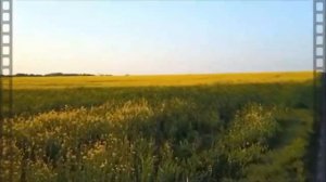 футаж путешествие в детство