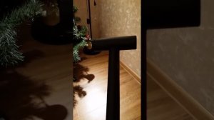 Лопата для автомобиля снеговая Fiskars FISKARS 143073