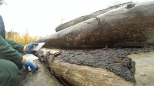 Пробивная способность дешевой оболоченной пули