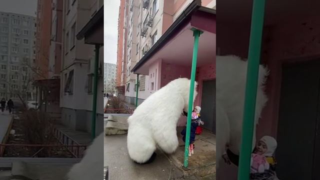 Поздравление девочек с праздником