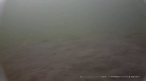 Видеокамера для рыбалки. CAM2 0028
