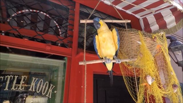 Афины за 1 День смотреть онлайн