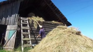 гр Life..Хочу в деревню