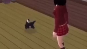 cat breakdancing for 10 hours