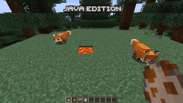 Java vs Bedrock