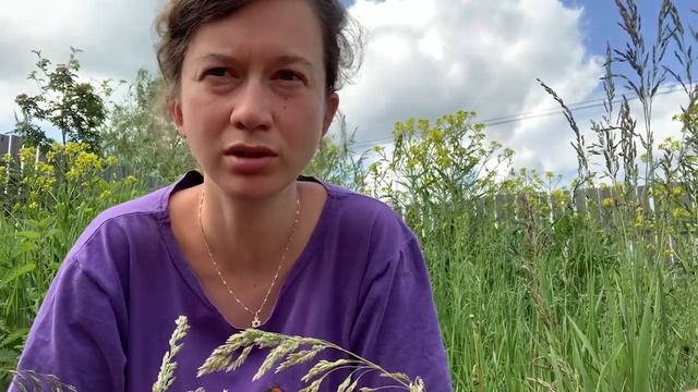 Урок 7 молитва писанием смотреть онлайн