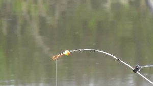 Карась балдел от такого червя ! Рыбалка на карася на боковой кивок и поплавок на дождевого червя
