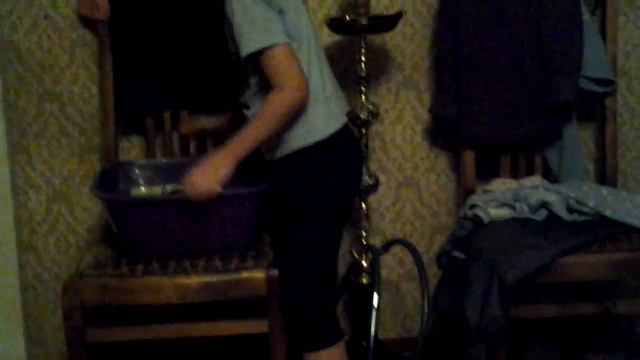 МОИ ХОМЯЧКИ смотреть онлайн