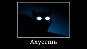 Уважаемые друзья, которые находятся у меня в ватсапе