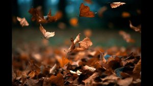 枯葉 デジタルサックスYDS-120 A.03