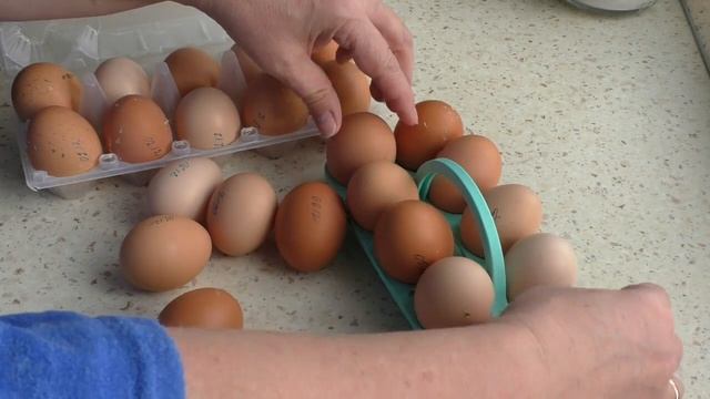 Автоматизация курятника зимой. Первый результат. смотреть онлайн