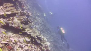 Diving at Flying Fish Cove, Christmas Island - March 2012