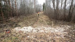 Вывозим козью органику(навоз) и сломанные деревья на мотоблоке МТЗ-09Н.Первый снег.