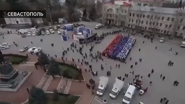 Спецоперацию поддержали страны. Голуби в поддержку спецоперации.