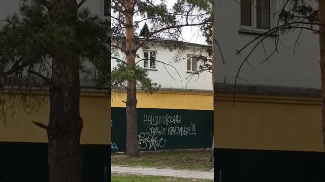 Правда на стенах города. Новосибирск