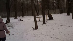Блэкмор Найт Блюз (нам один год)