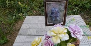 Кладбище домашних животных на землях сельхозназначения под Ангарском.mp4