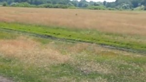 Природа России (саратовская область )