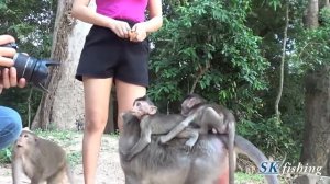 Удивительная Храбрая Девочка, Ловящая Обезьяну Ребенок - Кхмерская Девочка, Предоставляющая Пищу Об