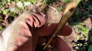 Коп в краснодарском крае