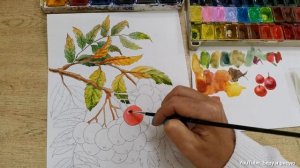 Как рисовать рябину акварелью