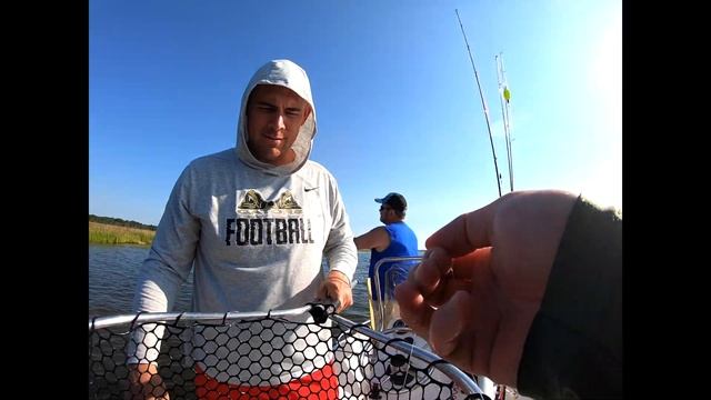 Catching SPECKLED TROUT and SLOT REDFISH using Gulp Minnows смотреть онлайн