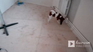 Эркер от А до Я.Утепляем потолок,пол.Финальная отделка!