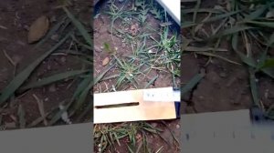 Модернизация алюминиевой лестницы-стремянки.