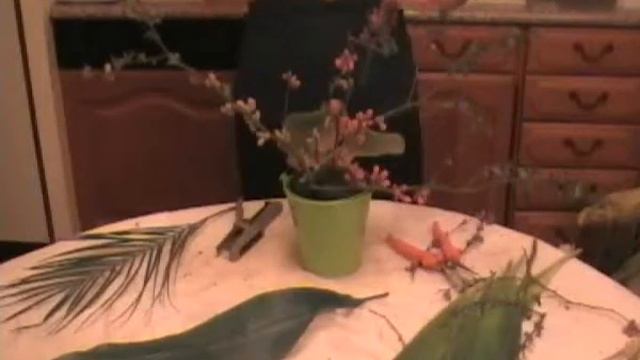 composition florale anthurium pommier du japon смотреть онлайн