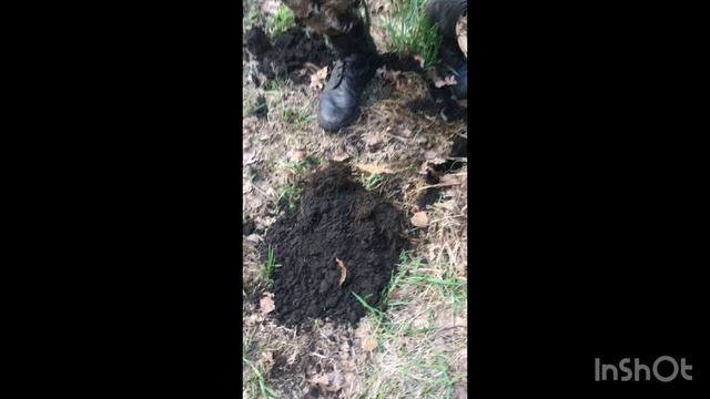 Коп в Липецкой области! Реальные находки