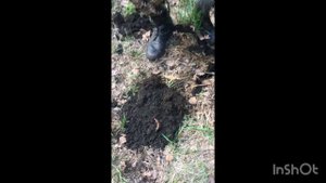 Коп в Липецкой области! Реальные находки
