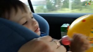 Отдых с детьми на Оке. Снять домик недорого на берегу на выходные