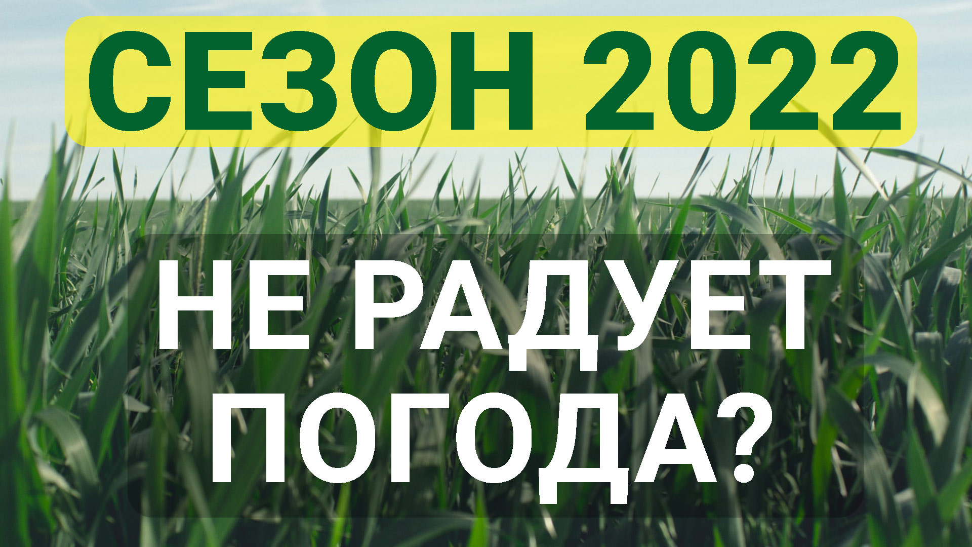 Микробы увеличили урожай перца в 3 раза!
