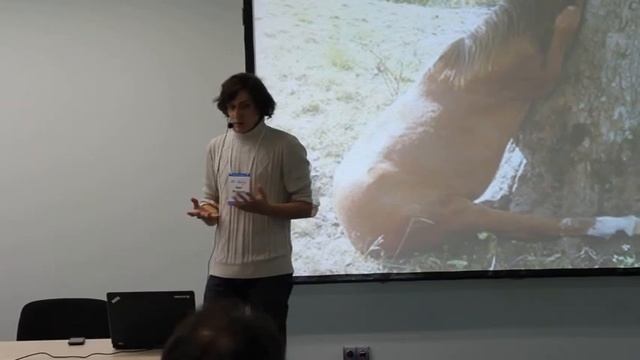 Наш путь от 90 до 6500 тестов смотреть онлайн