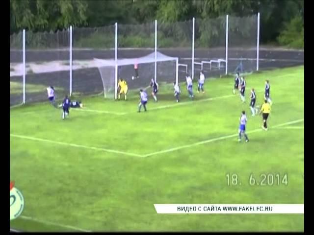 футбол факел динамо 20 06 14
