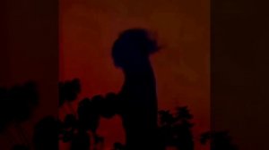 VID_110390516_191026_640.mp4